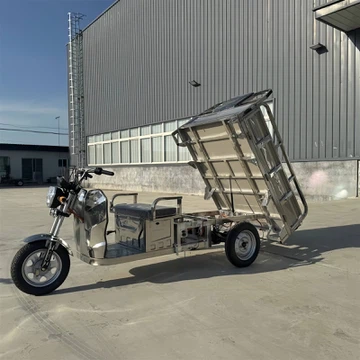 Transport Electric Tricycle Transport Electric Tricycle