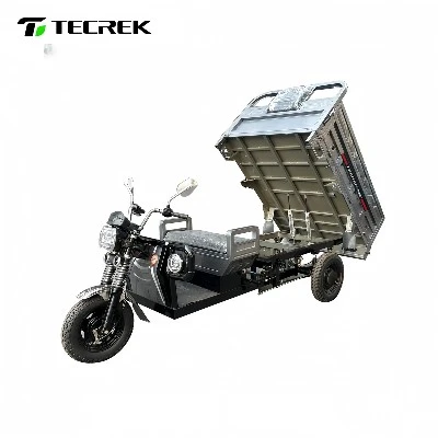 Heavy duty transport electric tricycle Heavy duty transport electric tricycle