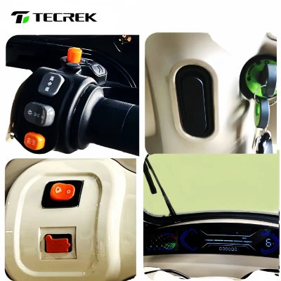 Electric Passenger Tricycle Electric Passenger Tricycle