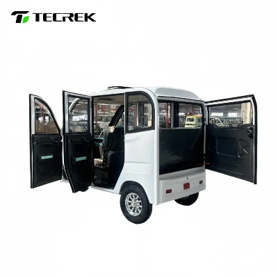 Electric Family Tricycle Electric Family Tricycle