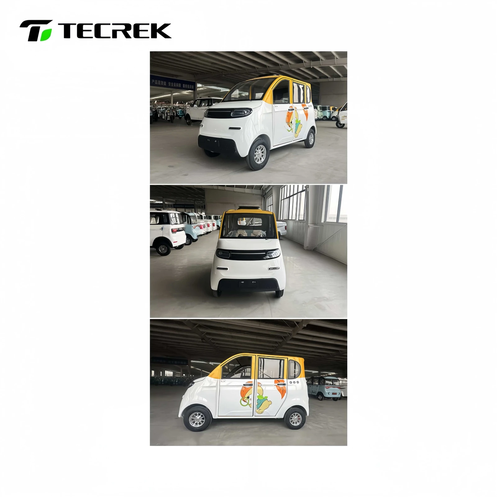 Electric Mini Passenger Car