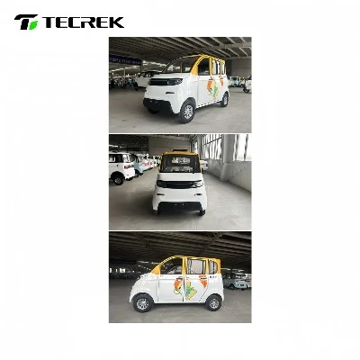 Electric Mini Passenger Car Electric Mini Passenger Car