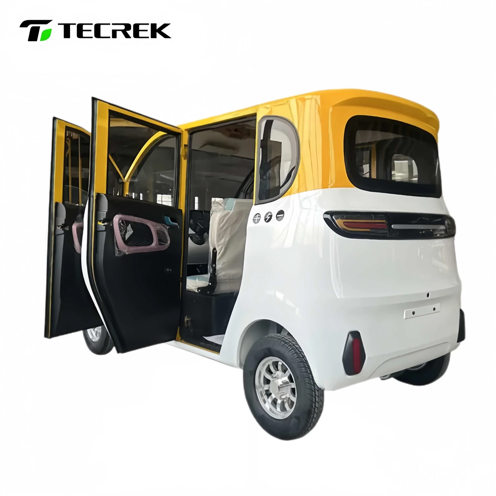 electric vehicle