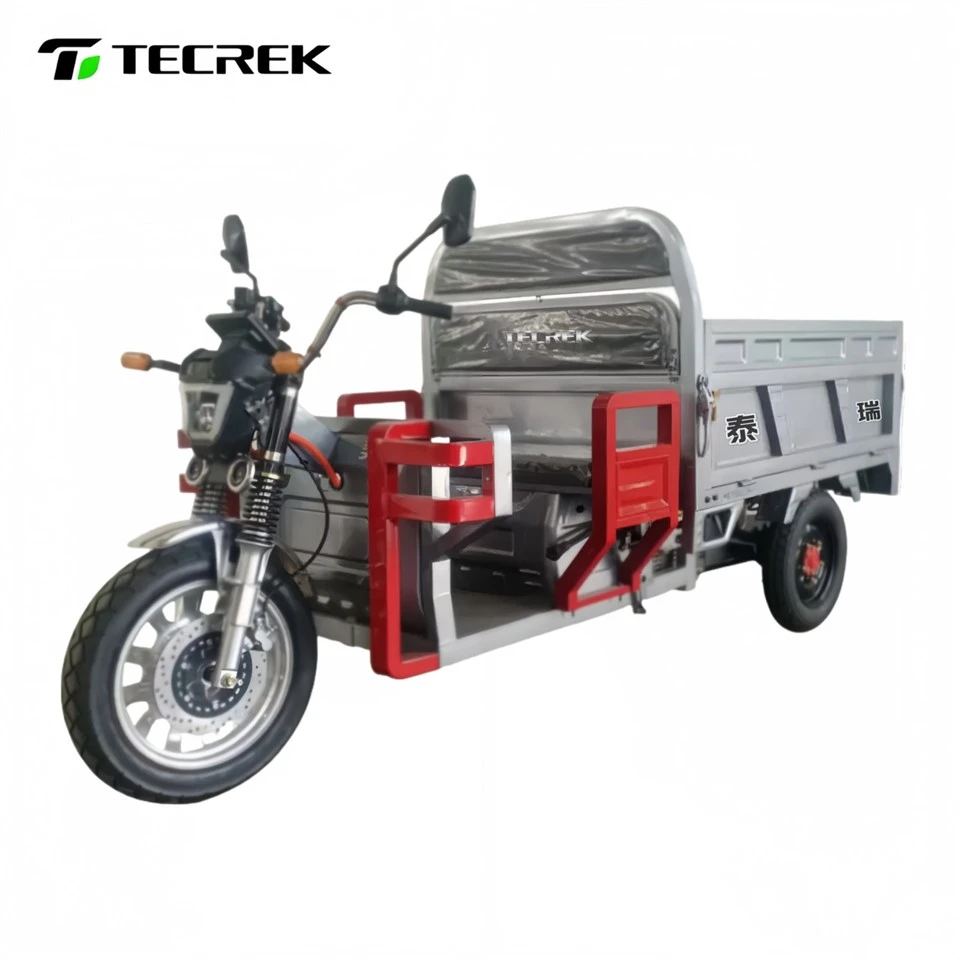 Three Wheel Electric Cargo Vehicle price